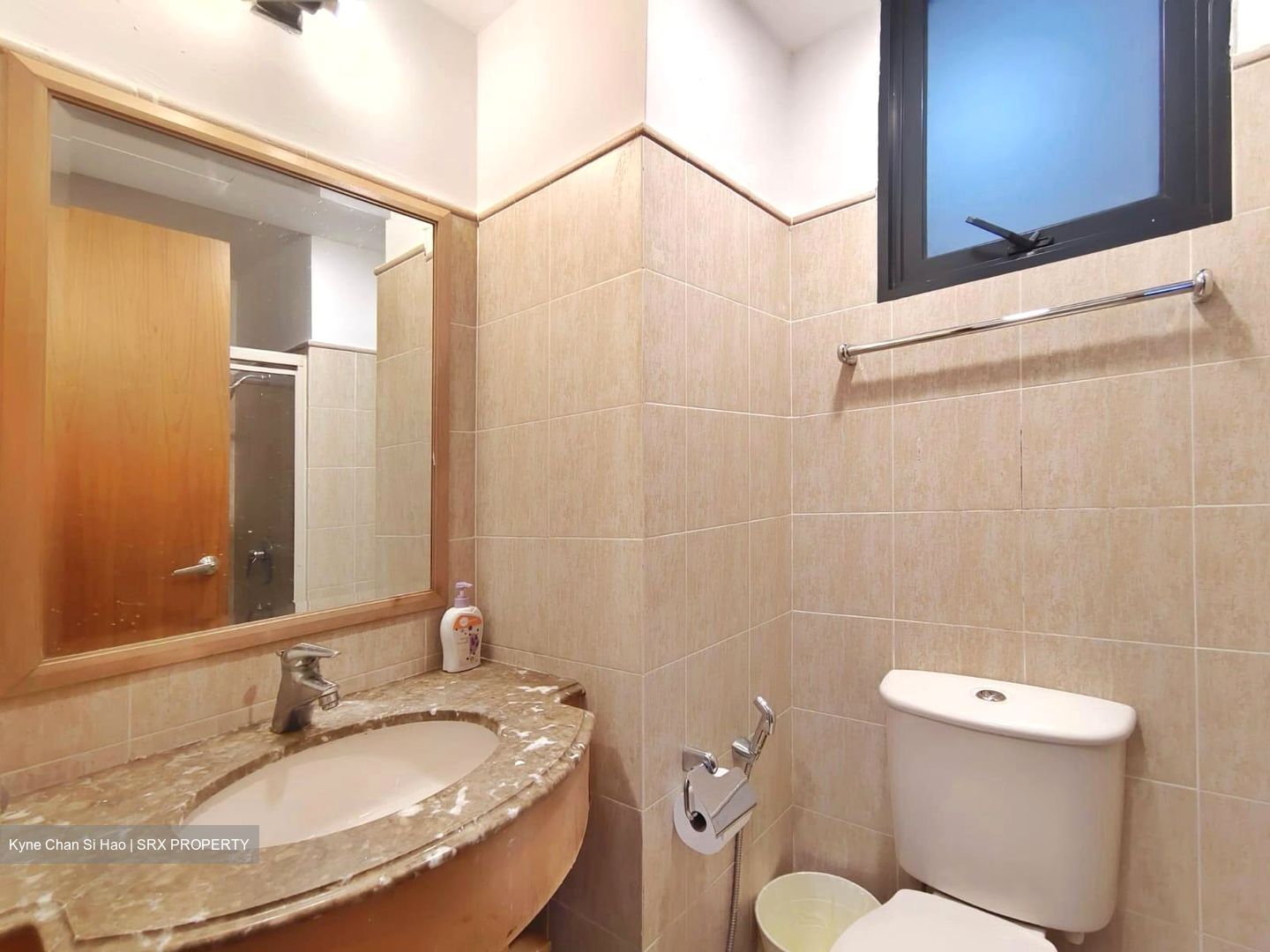 Tanglin View (D3), Condominium #594054971